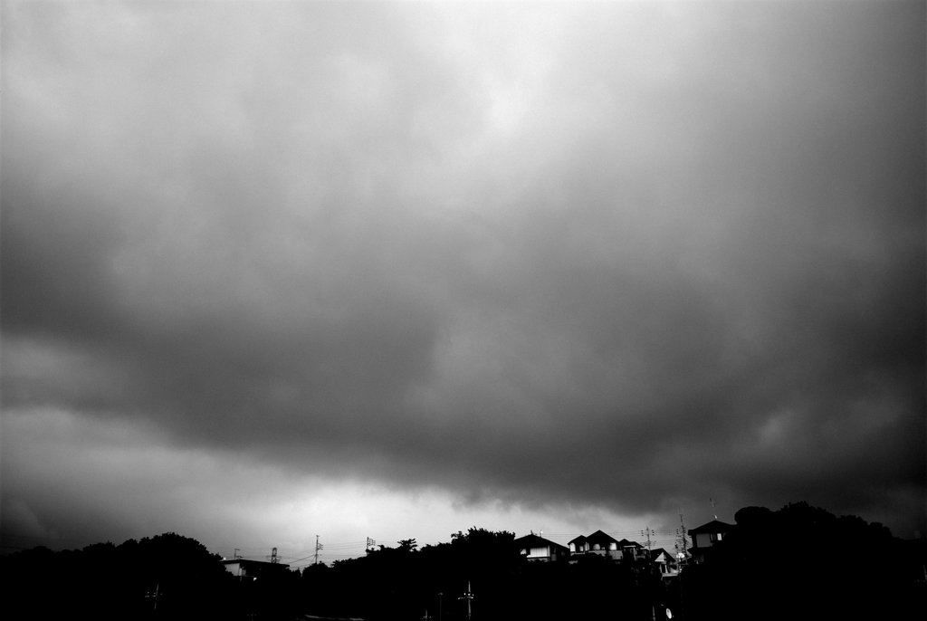 雨が来る