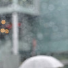雨の粒