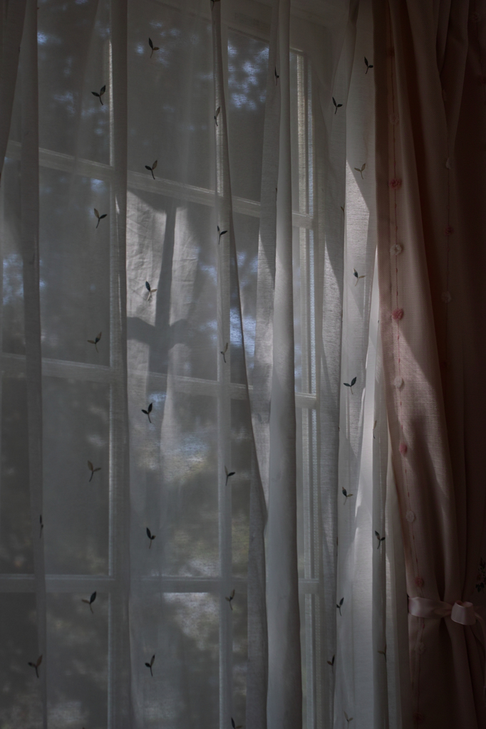 Windowsill of autumn