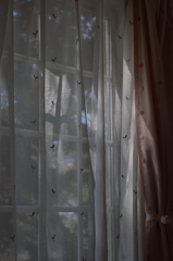 Windowsill of autumn