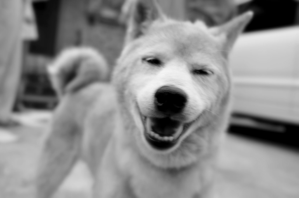 笑いすぎでしょ♪