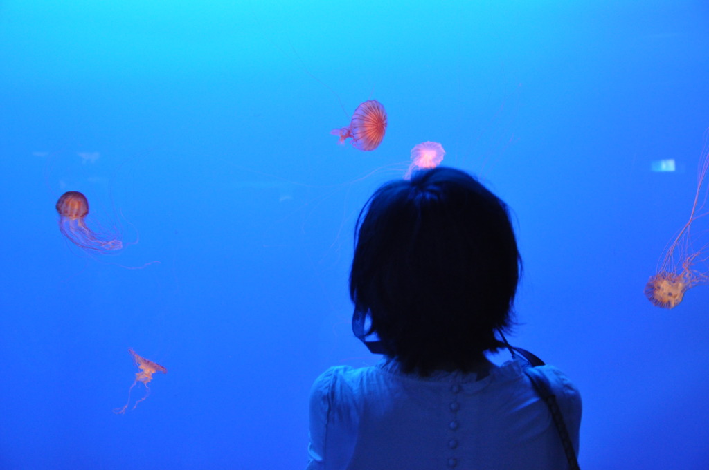 水族館