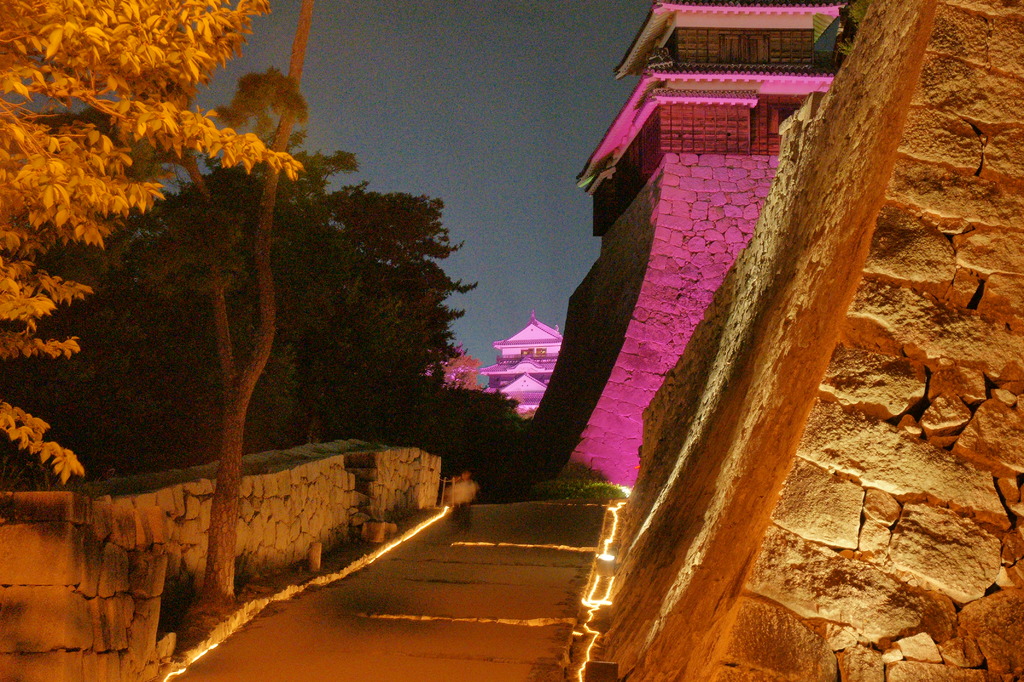 坂の上の松山城
