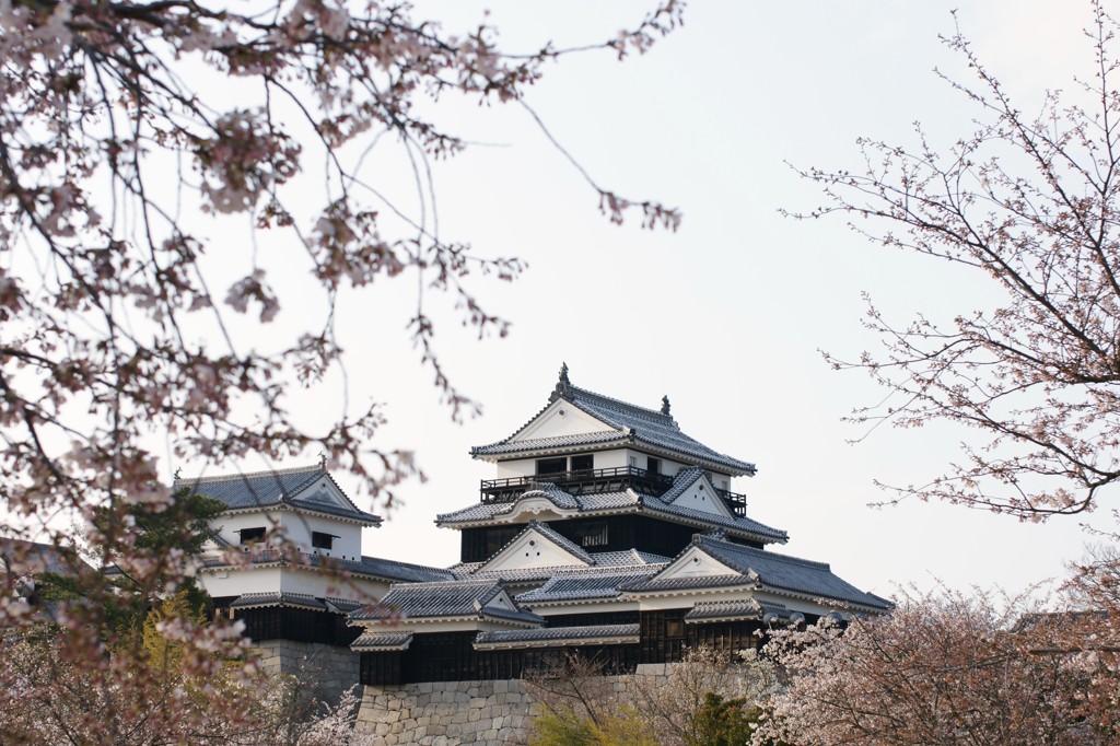 さくら松山城