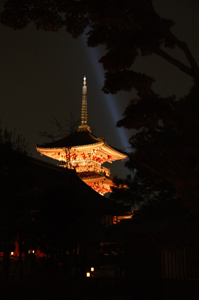 清水寺ライトアップ①