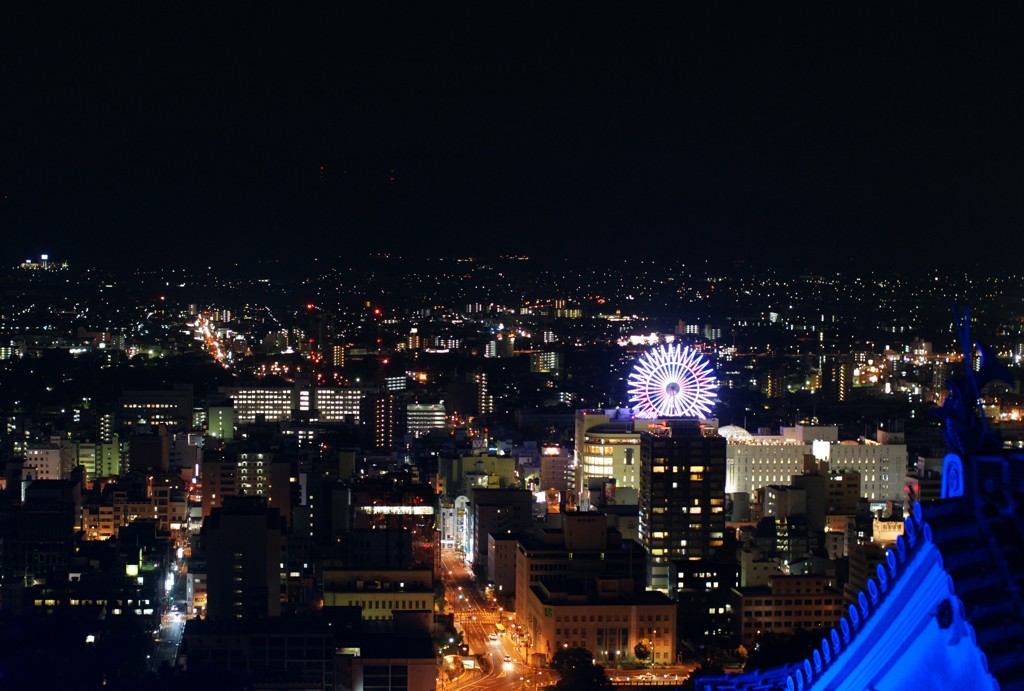 天守閣からの夜景