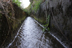 用水路