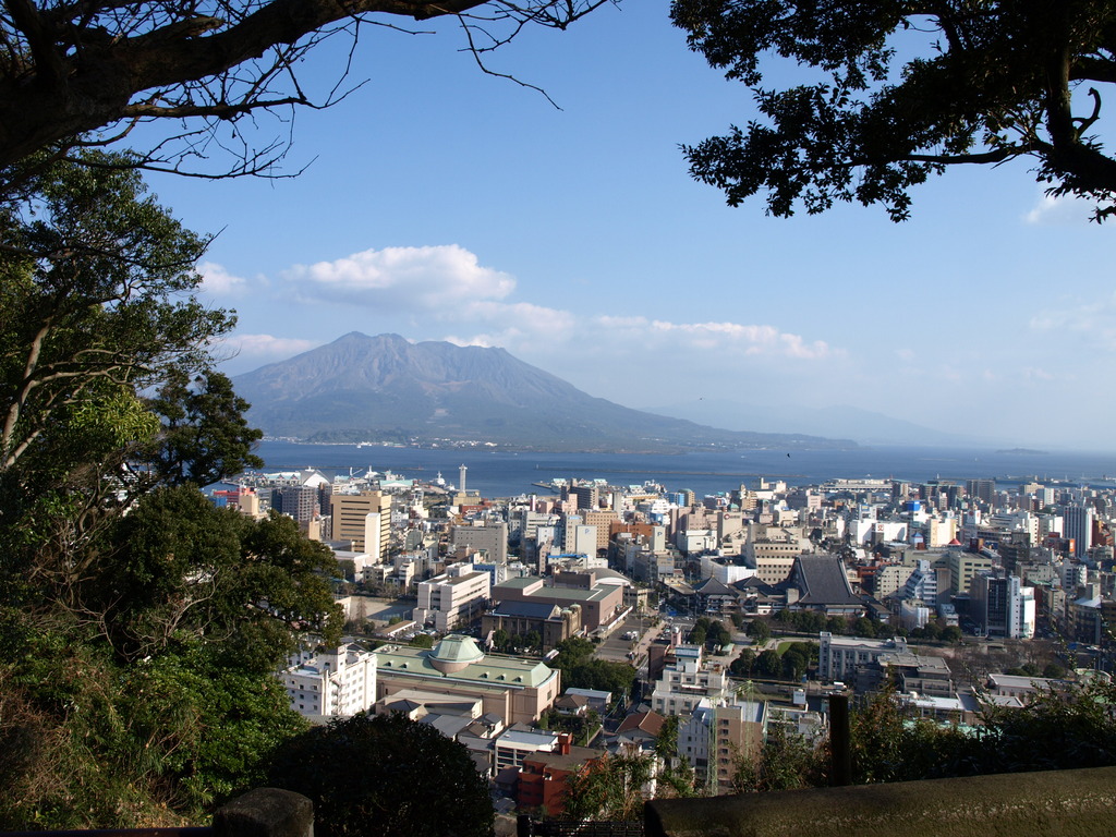 P2040332