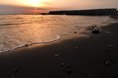 流浪の果て