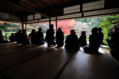 紅葉を愛でる人、それを愛でる僕