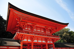 下賀茂神社の赤と青