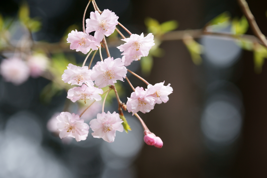 木漏れ日の下で