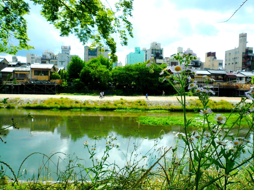 鴨川ラプソティー