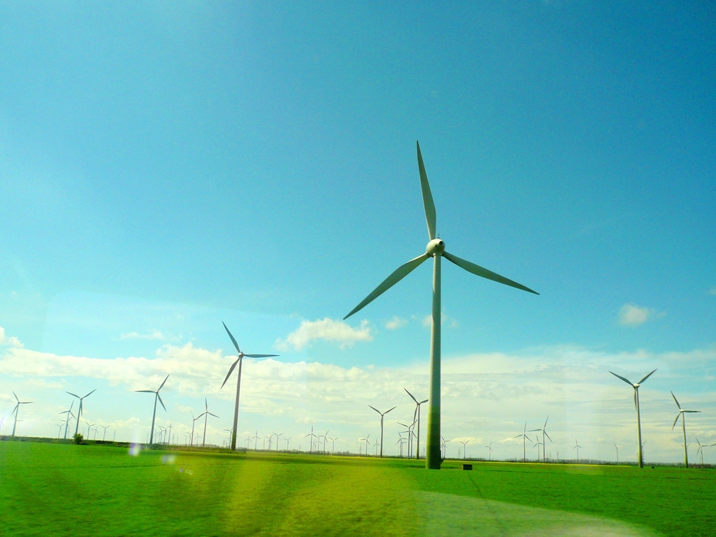 Wind, Electricity, and Green