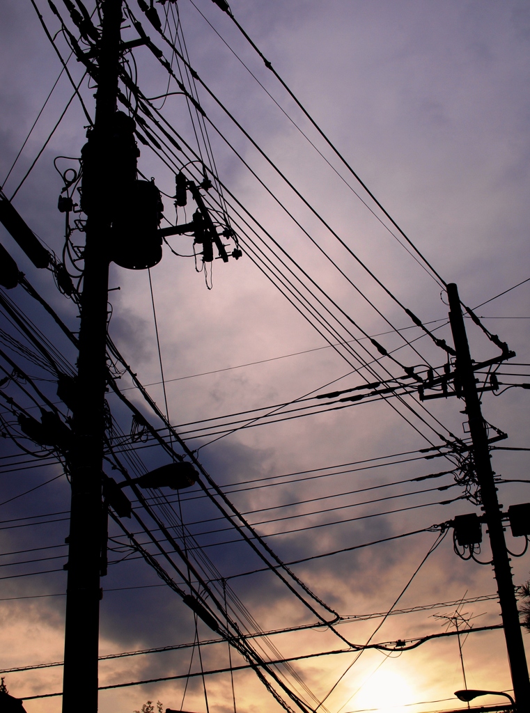 Wired Sunset 1