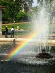 Baby Rainbow