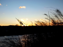 Tamagawa River in Winter 2