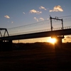 Tamagawa River in Winter 3