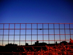 Strange Sky