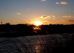 Tamagawa River in Winter 1