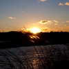 Tamagawa River in Winter 1