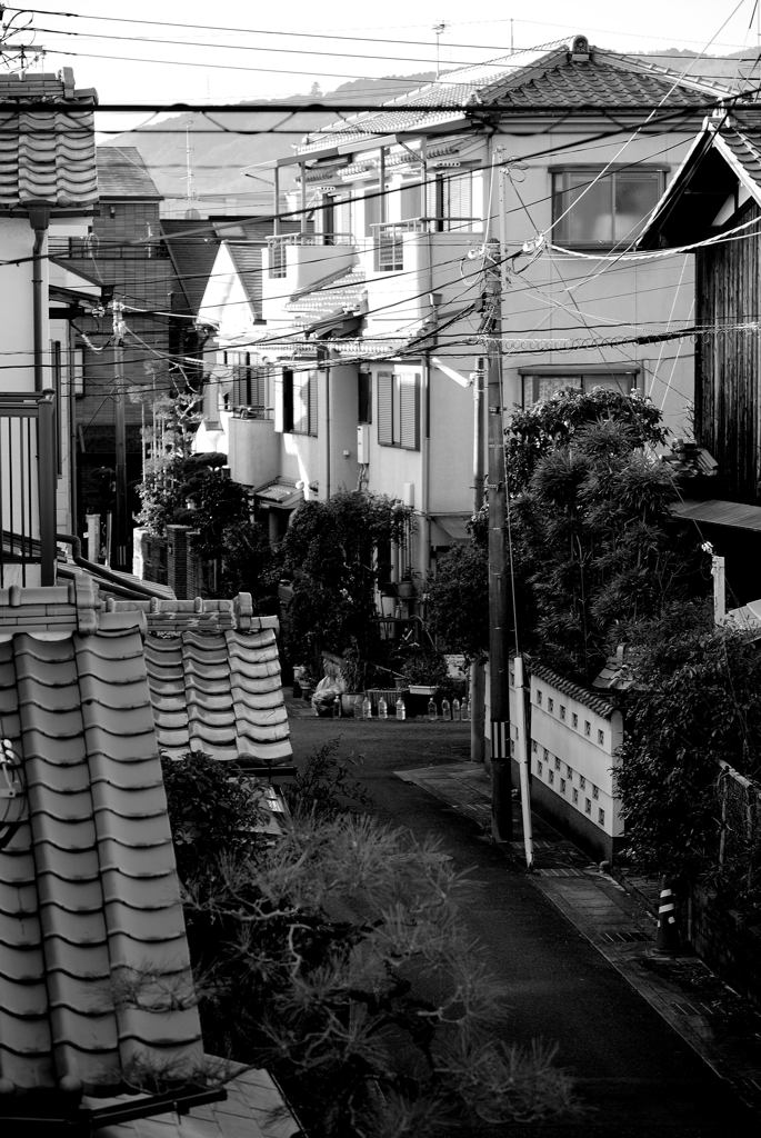 雨上がりの路地