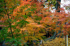20111205-06長岡天満宮