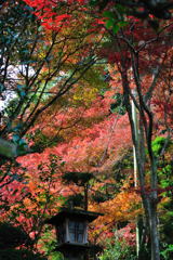 20111129_15_長岡天満宮