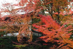 20111129_11_長岡天満宮