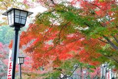 20111129_09_長岡天満宮