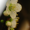 見栄え良く･･