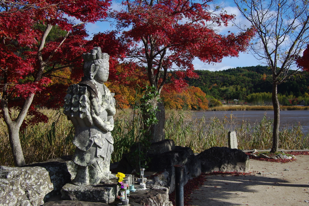 千手観音と紅葉