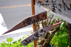 道案内