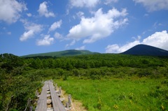 沼原湿原