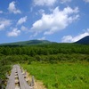 沼原湿原
