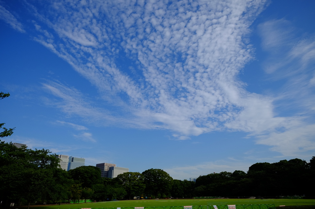 もうひとつの見上げた空