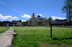 QUEENと青空とお花畑と