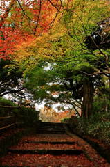三色（みいろ）の路