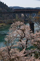 桜の見た高山線