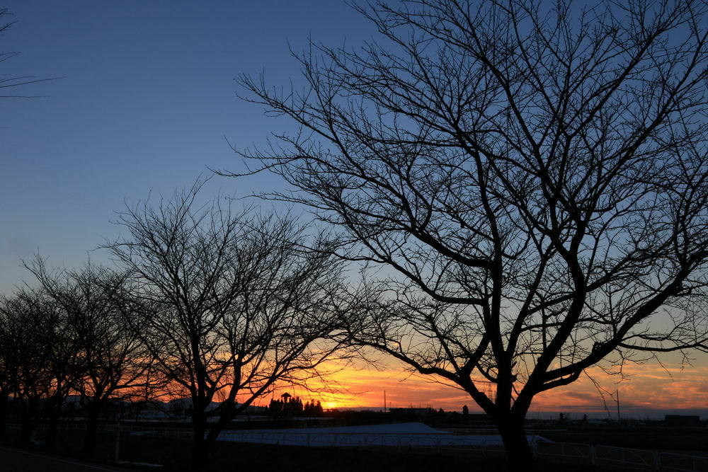 夕暁２
