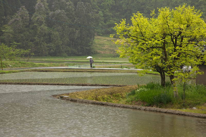 雨は雨で・・・また楽し