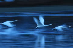 Takeoff