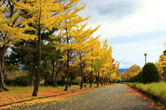 散歩道（１）？