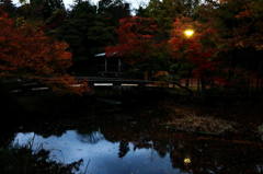 夜紅葉の名残り