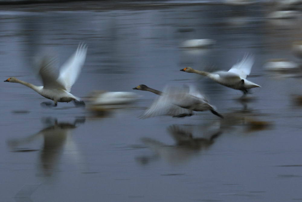 Take off ２