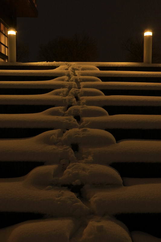 だれが歩いた？
