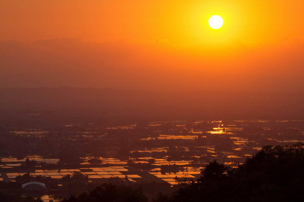 田を照らして落つる陽