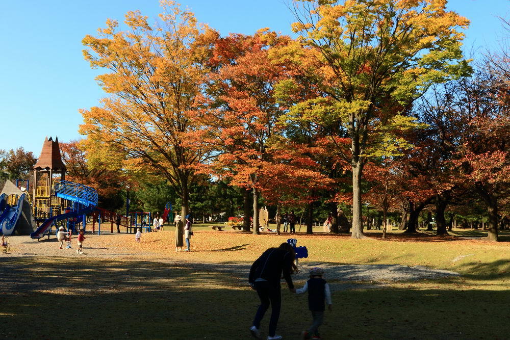 7D Mark Ⅱ　テスト２