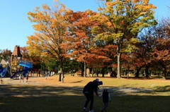 7D Mark Ⅱ　テスト２
