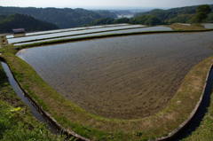 天空の水田